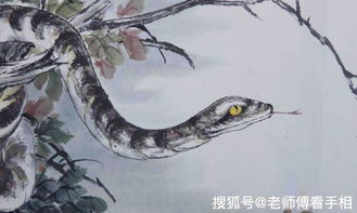 2026年属蛇本命年男性适合佩戴什么吉祥物或饰品以转运？
