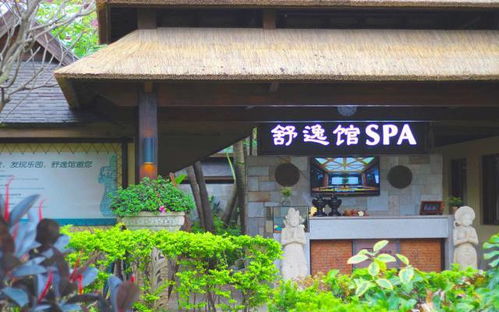 交通指南：迷宫大冒险