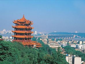 关于名字的小八卦