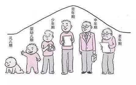 子嗣情况分析时是更看重男命还是女命的表现呢？