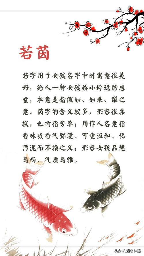 实战演练：几个例子给你参考