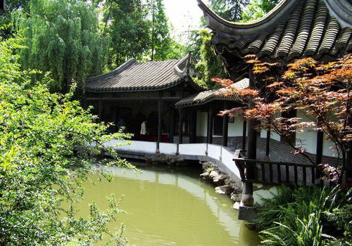 关于品茗：不仅仅是喝茶， 更是一种心情