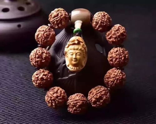 金刚菩提有啥讲究,金刚菩提子风水功效