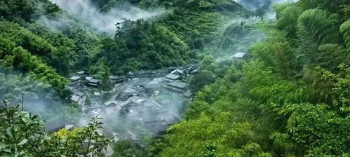 历史持续发展与文化底蕴的沉淀