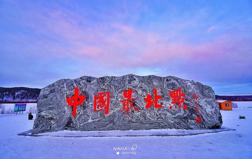 较深度玩法：地下森林探险