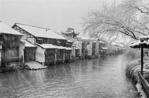 美食色香味俱全， 口水流了一地