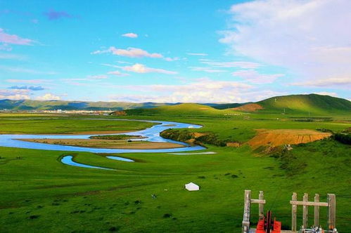 Day3：若尔盖草原的幻灭