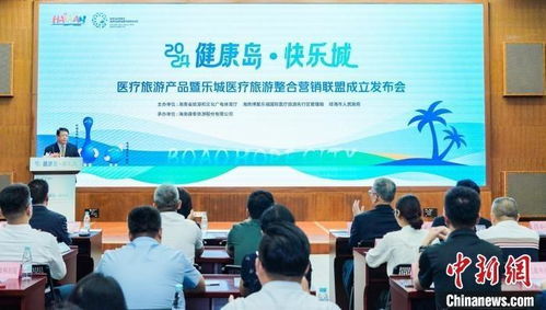 2. 医疗旅游的实践案例