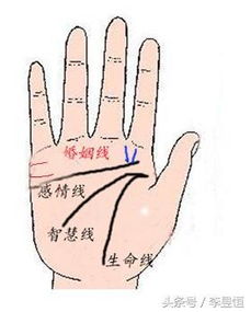 年龄的推算法