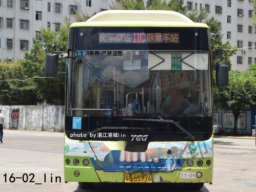 这真的是旅游吗？简直是渡劫！