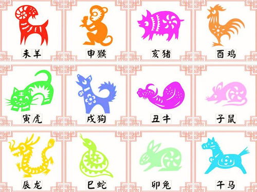 属兔五行缺火男孩取名：一场热烈的烟火