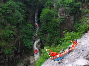 漂流惊魂记：尖叫还是哀嚎？