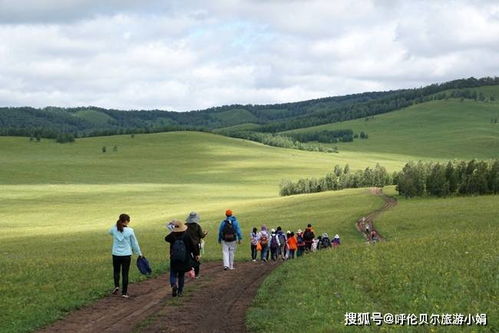草原奇迹：内蒙古的逆袭