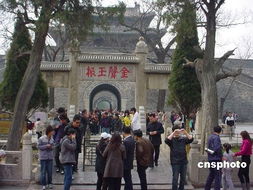 3. 曲阜三孔（孔府、 孔林、孔庙）
