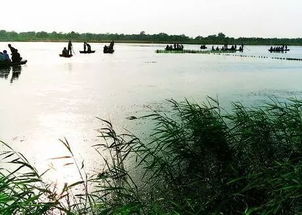 前言：这一趟走的有点懵圈