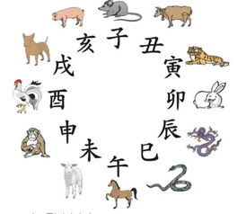 生肖与添丁宫位——乱七八糟版对照表（仅供娱乐）