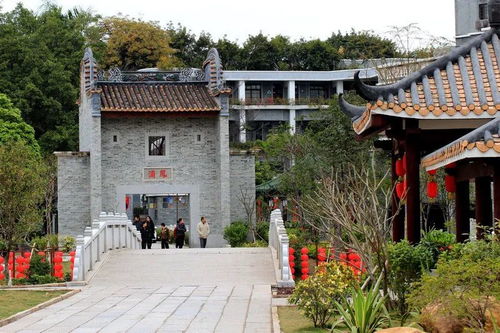 #10 鹿头镇武庄村（乡村风光+鸡叫声）