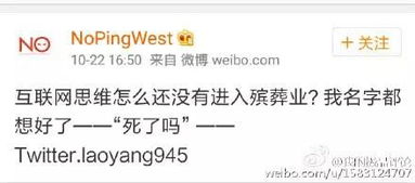 噪声插入区（别问为什么）