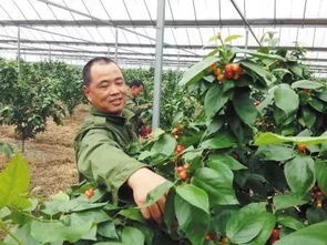 惯与XX基地的那些传说和故事
