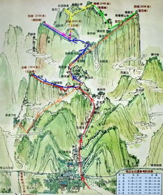1. 宁津蟋蟀博物馆：昆虫界的奥斯卡颁奖典礼