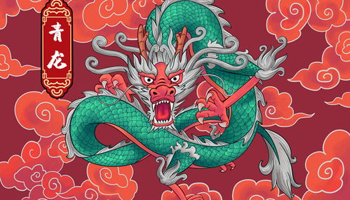 76年属龙的终身寿命和71年属龙的现状分别是什么？