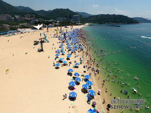 3. 出租车/网约车 (适合懒人朋友)