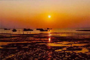 五、  情侣路：夕阳下的浪漫漫步，亲子时光