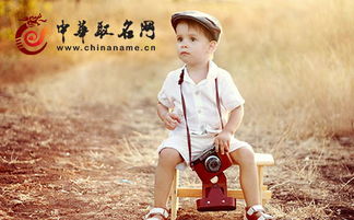 有没有霸气冷酷的男宝宝名字推荐？
