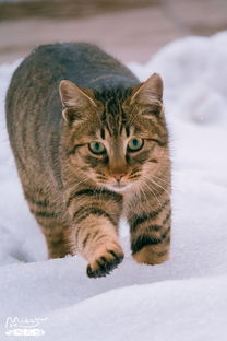 所yi到底多少钱呢？（深吸一口气）