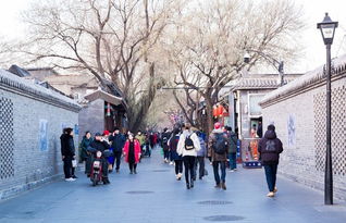 南锣鼓巷：逛吃胡同里遇见北京较小众生活方式(附路线推荐)