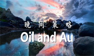寂静的夜晚（呸！啥时候有寂静啊！）