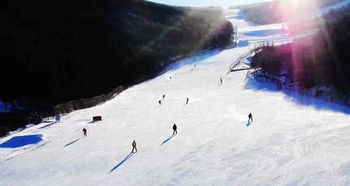 滑雪装备乱入（随意拼贴）