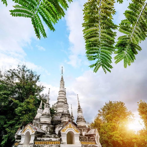 四月瞎溜达：那些旅游攻略没告诉你的破事儿