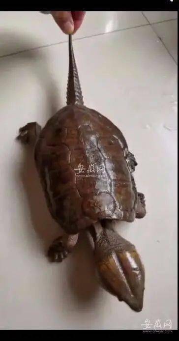 奇怪的感觉