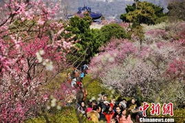 门票价格：明抢还是暗偷？