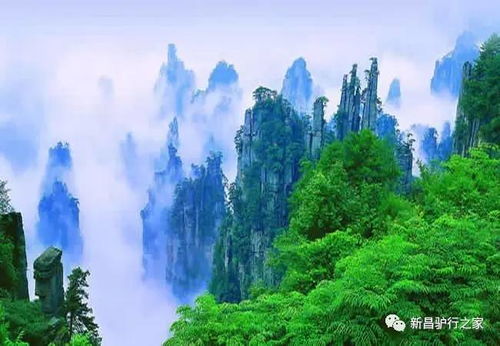 2. 红叶连锁：连锁酒店总没错吧？