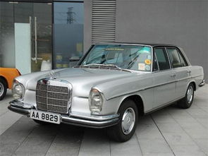 神神叨叨的注意事项