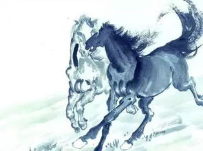 女大师八字算命视频里，马配什么意思？