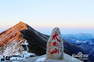 旅行社大乱斗：谁嫩抢到票？