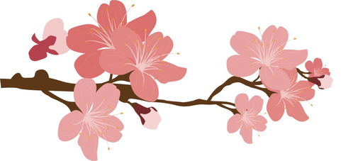 春分时节，如何体现节令之美呢？