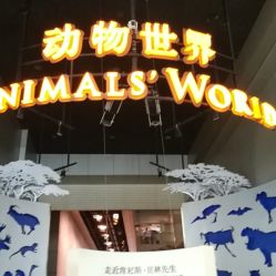 二、周末必备神器——预约小技巧（真的很重要）