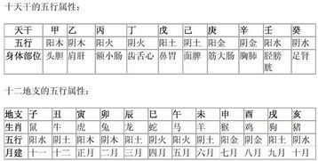 五行穿衣颜色对照表中的1.4五行对应的衣服颜色是什么？