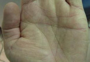 一、 手相：掌纹里的