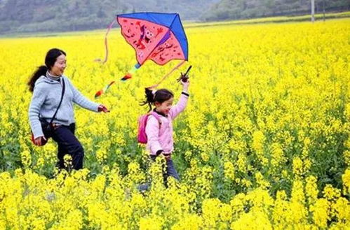 风水布局与踏青秘籍