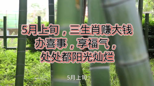 阳光照耀大地暖，阳光明媚的动物是啥生肖？