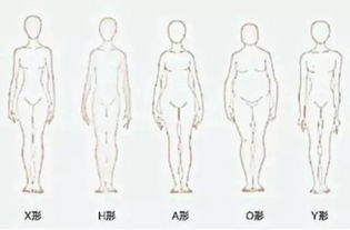 2. 瘦削型（骨感清冷）：心思细腻