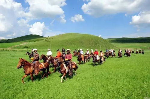 5. 呼伦贝尔草原：夏日草原的浪漫时光