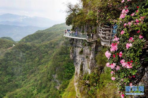 龙头山度假区：白天像养老院，晚上变夜店？