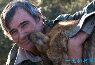 关于“食肉”这件事