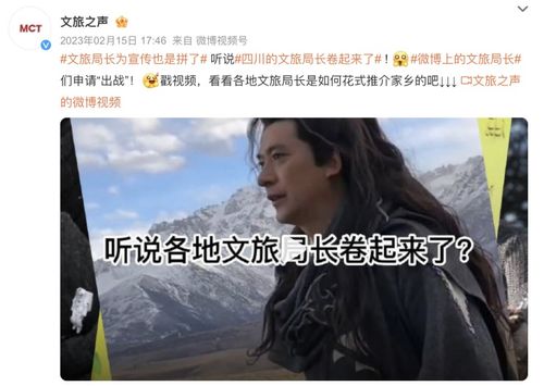 第三章：双雄的东南亚合作与挑战，相爱相杀！